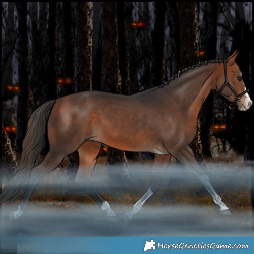 Horse Color:Bay Splash Tobiano Rabicano 
