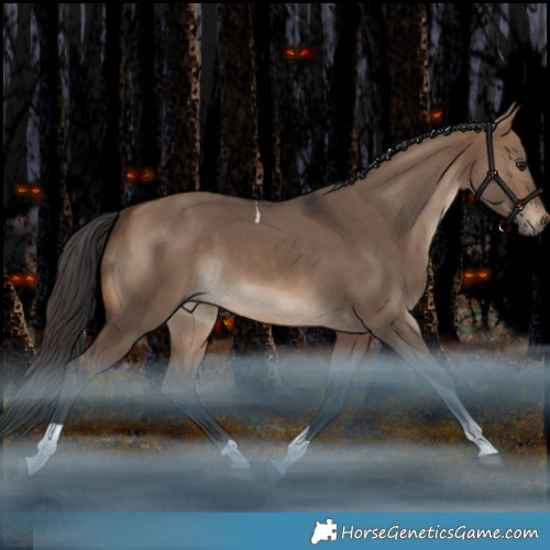 Horse Color:White Spotted Brown Dun Tobiano Rabicano