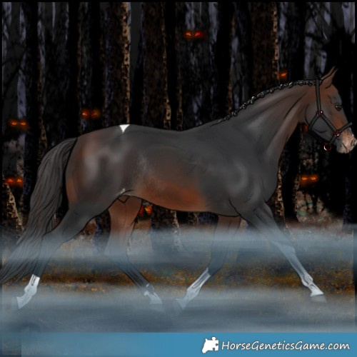 Horse Color:Brown Tobiano Varnish Rabicano