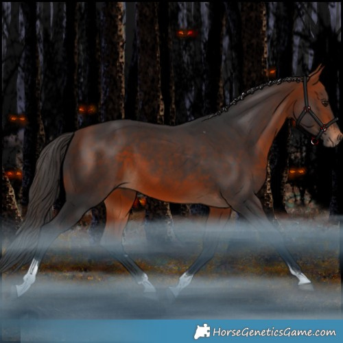 Horse Color:Bay Tobiano Rabicano