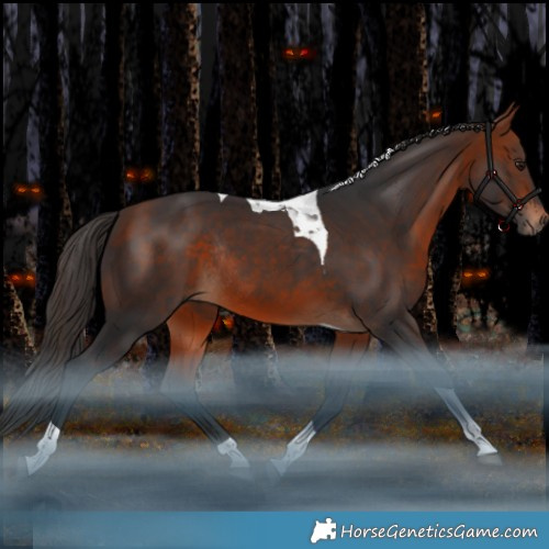 Horse Color:Bay Tobiano Rabicano