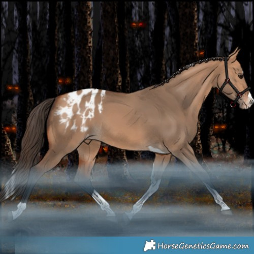 Horse Color:Bay Dun Splash Tobiano Appaloosa Rabicano