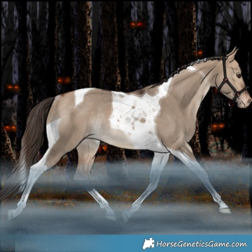 Horse Color:Bay Dun Tobiano Appaloosa Rabicano 