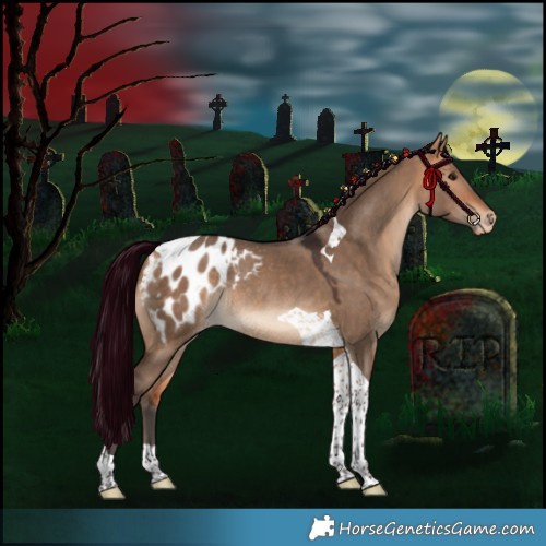 Horse Color:Bay Dun Tobiano Appaloosa Rabicano 