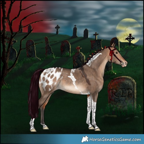 Horse Color:Bay Dun Tobiano Appaloosa Rabicano 