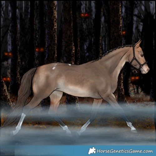 Horse Color:Bay Dun Tobiano Appaloosa Rabicano 