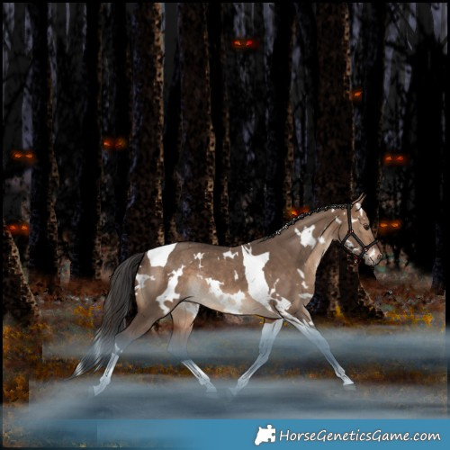 Horse Color:White Spotted Bay Dun Tobiano Rabicano 