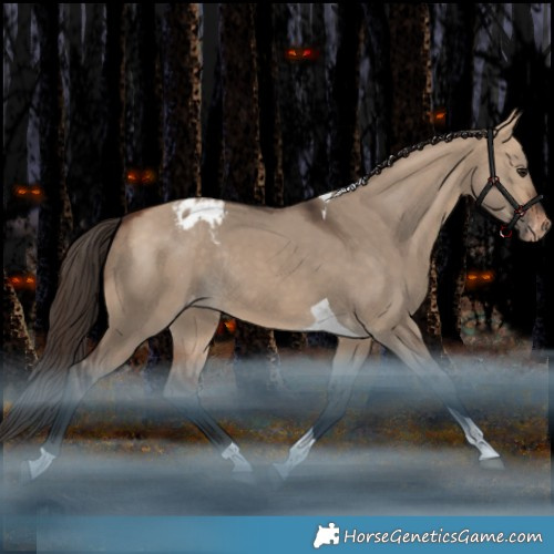 Horse Color:Bay Dun Tobiano Varnish Rabicano