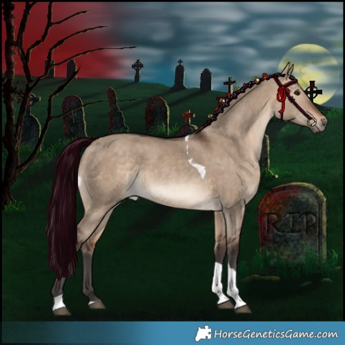 Horse Color:Bay Dun Tobiano Rabicano