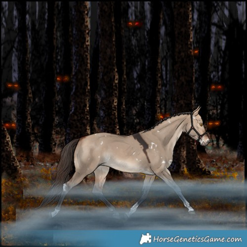 Horse Color:White Spotted Bay Dun Tobiano Rabicano 