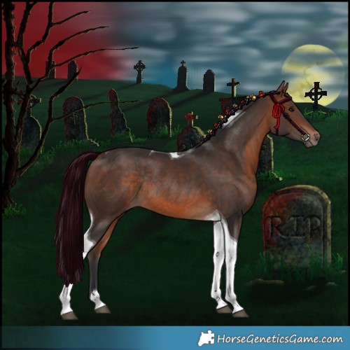 Horse Color:Bay Tobiano Rabicano 