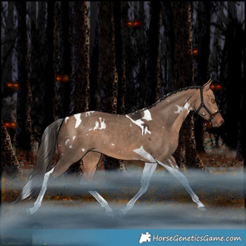 Horse Color:White Spotted Bay Dun Tobiano Rabicano 