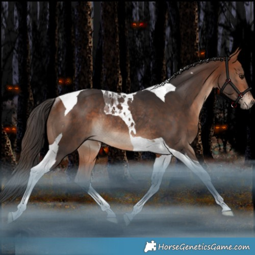 Horse Color:Bay Tobiano Rabicano 