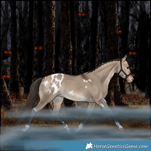 Horse Color:White Spotted Bay Dun Tobiano Appaloosa Rabicano 