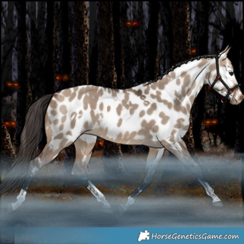 Horse Color:White Spotted Bay Dun Tobiano Appaloosa Rabicano 