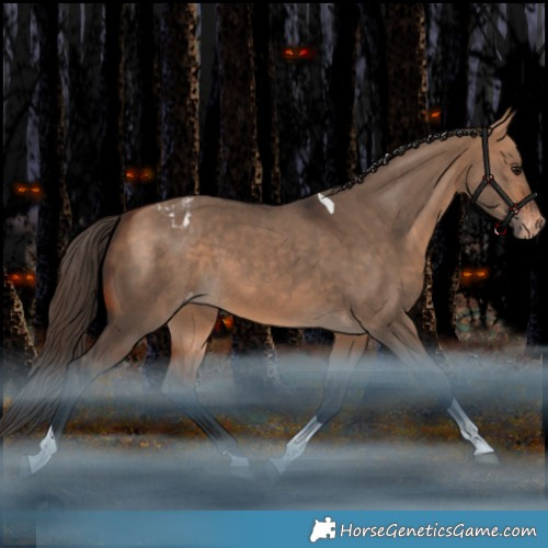 Horse Color:Bay Dun Tobiano Appaloosa Rabicano
