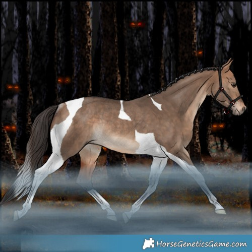 Horse Color:Bay Dun Tobiano Rabicano