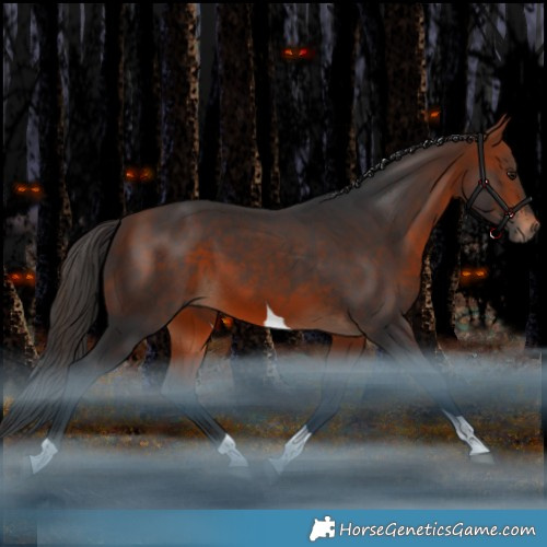 Horse Color:Bay Tobiano Rabicano 