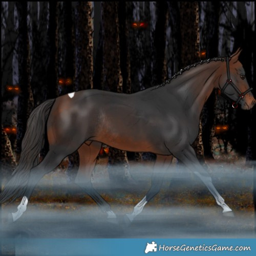 Horse Color:Bay Tobiano Rabicano 