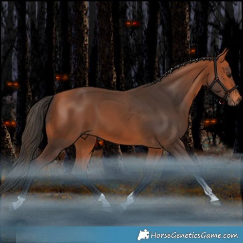 Horse Color:Bay Tobiano Rabicano 