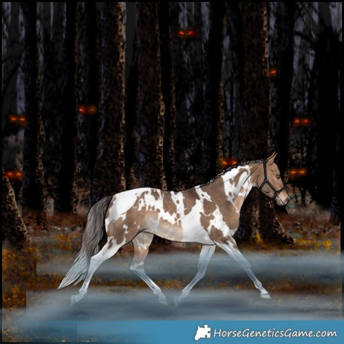 Horse Color:White Spotted Bay Dun Tobiano Rabicano