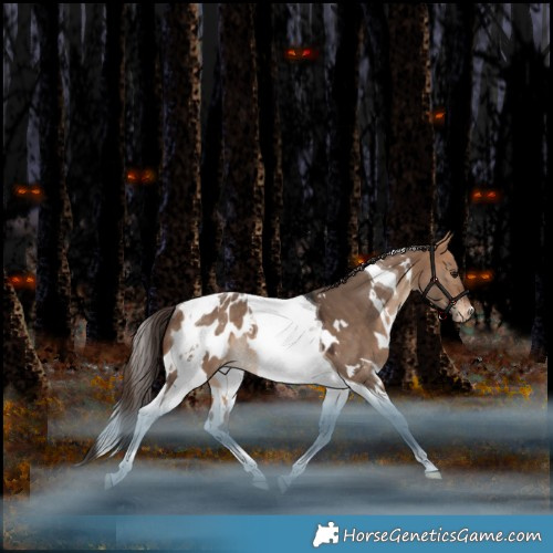 Horse Color:White Spotted Bay Dun Tobiano Appaloosa Rabicano 