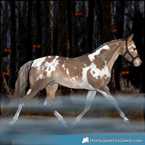 Horse Color:White Spotted Bay Dun Tobiano Appaloosa Rabicano 