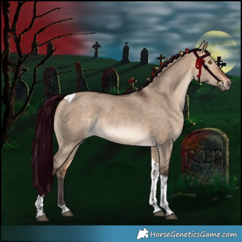 Horse Color:Bay Dun Tobiano Rabicano
