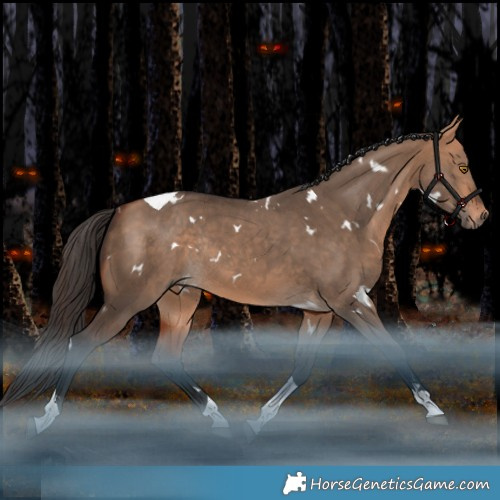 Horse Color:White Spotted Bay Dun Tobiano Rabicano 