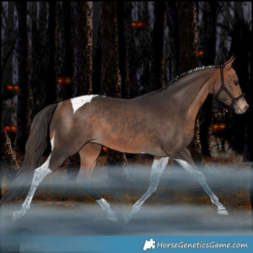 Horse Color:Bay Tobiano Rabicano
