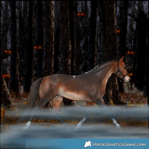 Horse Color:Bay Tobiano Rabicano 