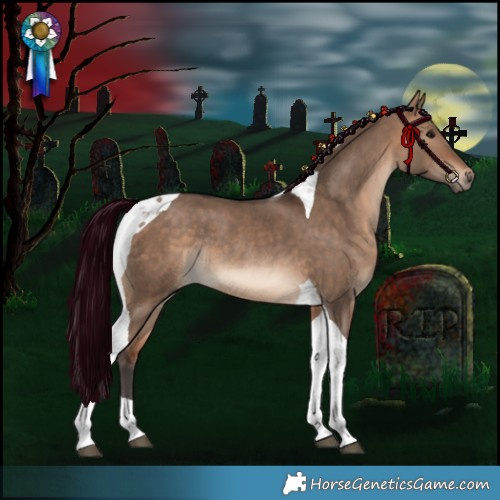 Horse Color:Bay Dun Tobiano Rabicano