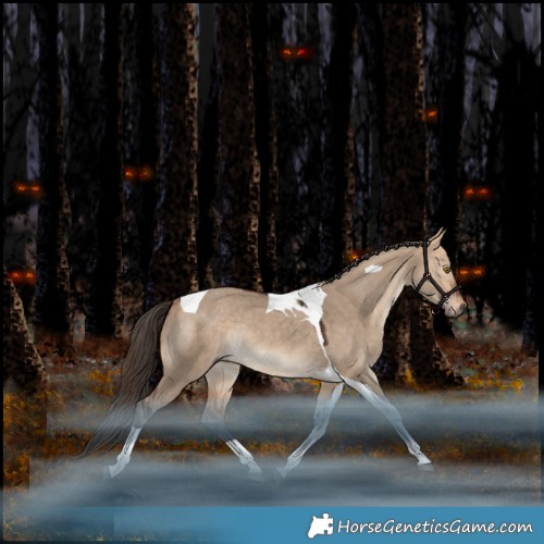 Horse Color:Bay Dun Tobiano Rabicano 
