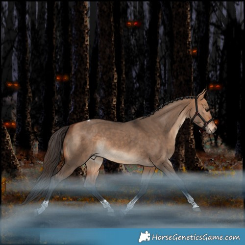 Horse Color:Bay Dun Tobiano Rabicano 