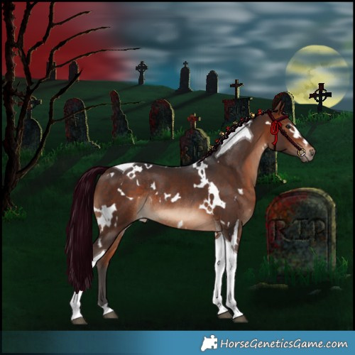 Horse Color:White Spotted Bay Tobiano Rabicano 