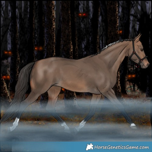 Horse Color:Bay Dun Tobiano Rabicano