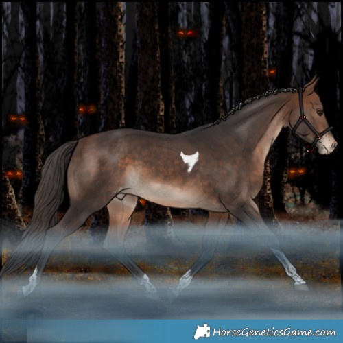 Horse Color:Bay Tobiano Appaloosa Rabicano 