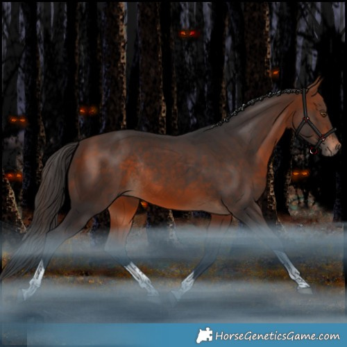 Horse Color:Bay Tobiano Rabicano