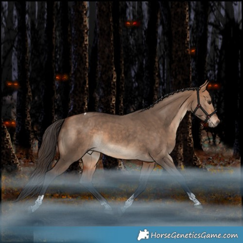 Horse Color:Bay Dun Tobiano Rabicano 