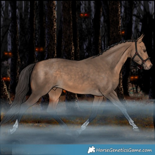 Horse Color:Bay Dun Tobiano Rabicano