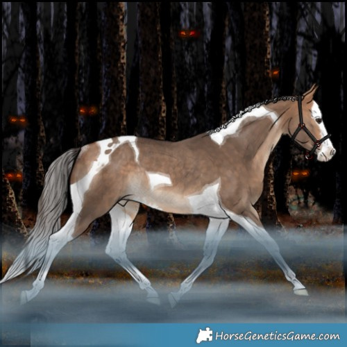 Horse Color:Bay Dun Splash Tobiano Rabicano