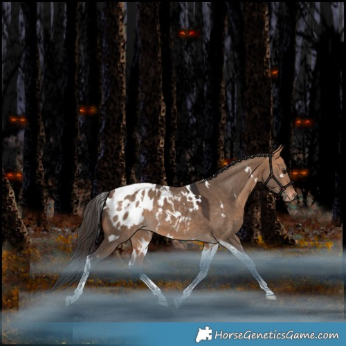 Horse Color:White Spotted Bay Dun Tobiano Blanket Rabicano
