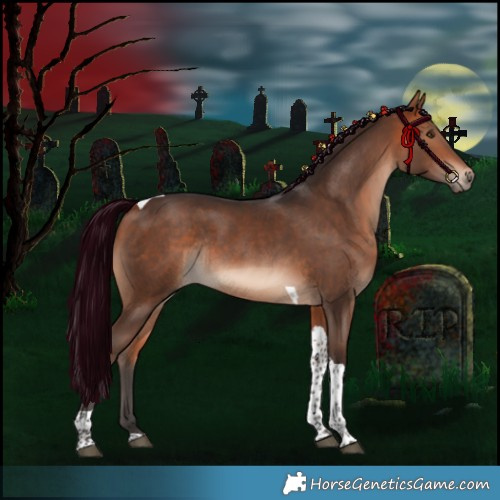 Horse Color:Bay Tobiano Rabicano