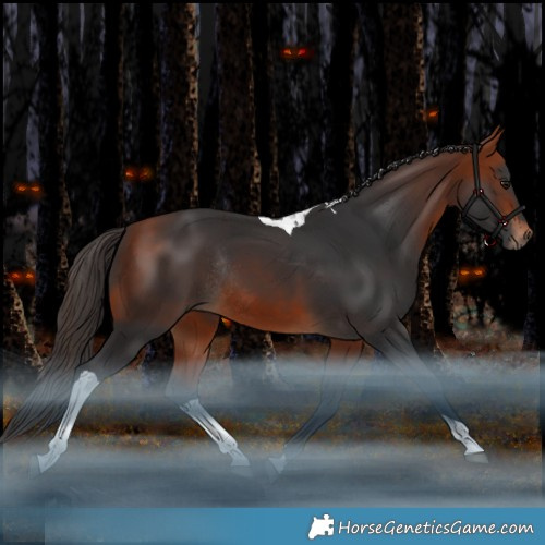 Horse Color:Bay Tobiano Rabicano