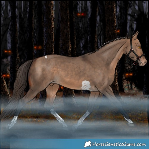 Horse Color:Bay Dun Tobiano Varnish Rabicano 