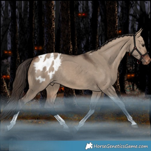 Horse Color:Bay Dun Tobiano Blanket Rabicano 