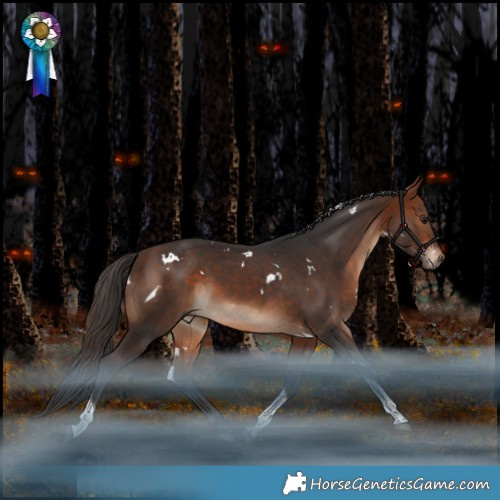 Horse Color:White Spotted Bay Tobiano Rabicano