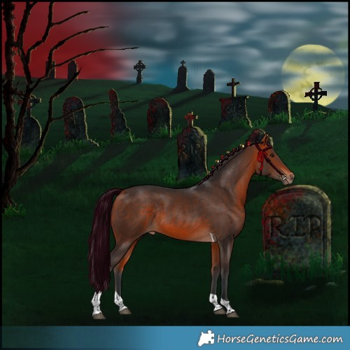 Horse Color:Bay Tobiano Rabicano 