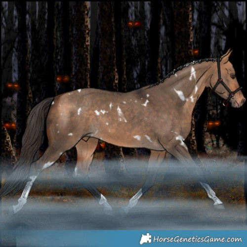 Horse Color:White Spotted Bay Dun Tobiano Rabicano