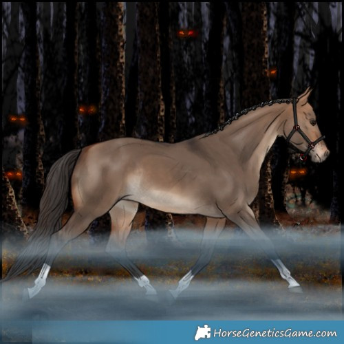 Horse Color:Bay Dun Tobiano Rabicano 